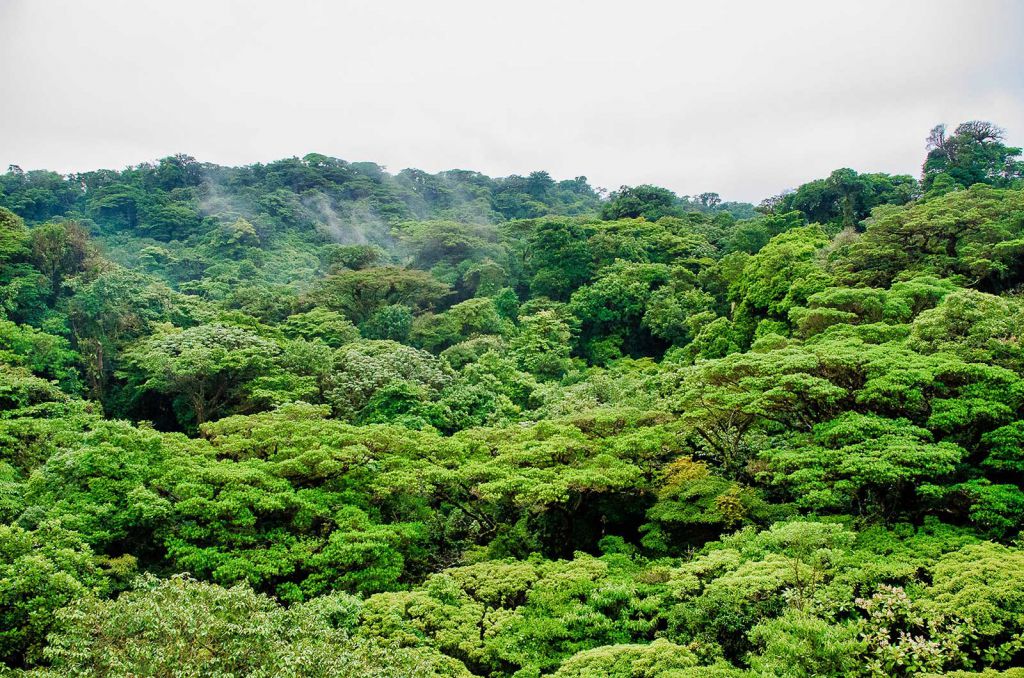 Selvatura Park La Aventura En Monteverde Costa Rica Que Mereces Vivir Selvatura