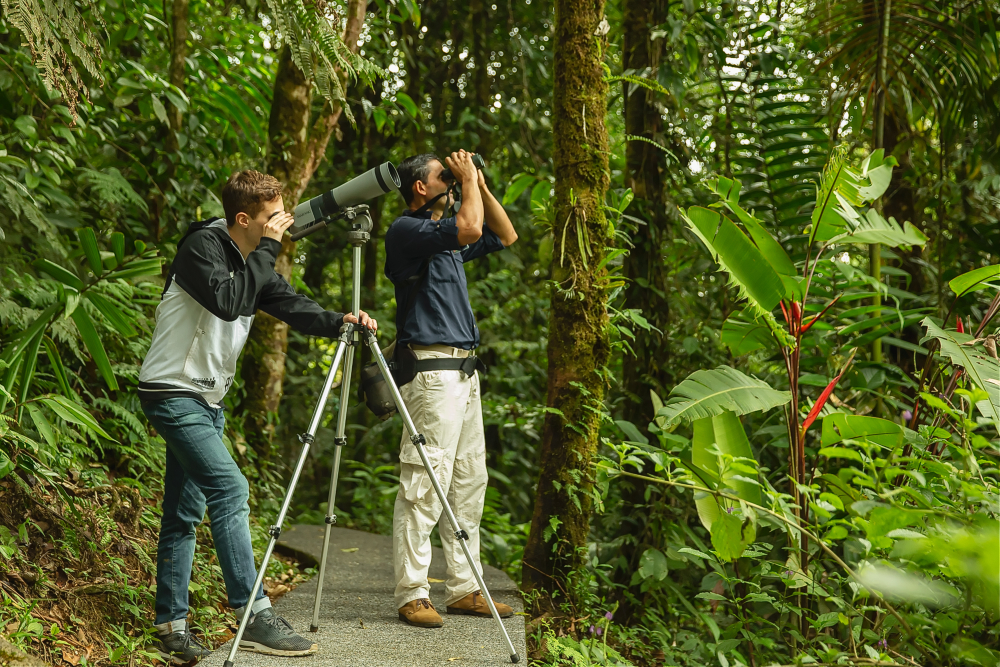 ¡Por qué Costa Rica es el mejor punto de acceso para la observación de