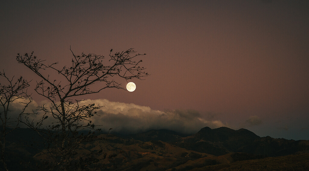 Night hike in Monteverde