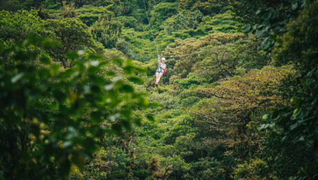 Ziplining in Monteverde