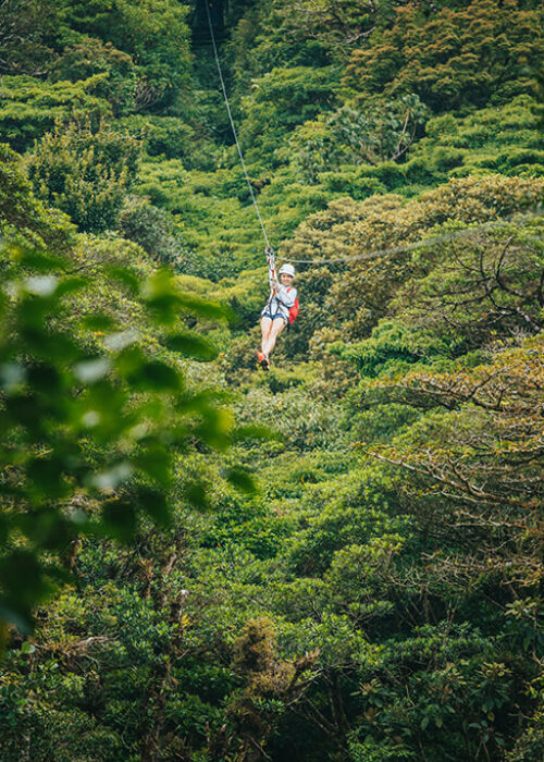 Ziplining in Monteverde