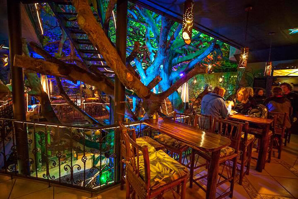 Tree house restaurante Selvatura